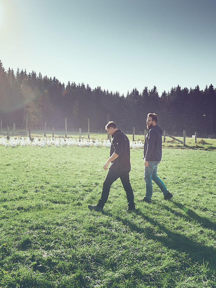 Fitmeat mit Gaensebauer im Waldviertel Sebastian und Weidegans-Bauer spazieren ueber die Wiese
