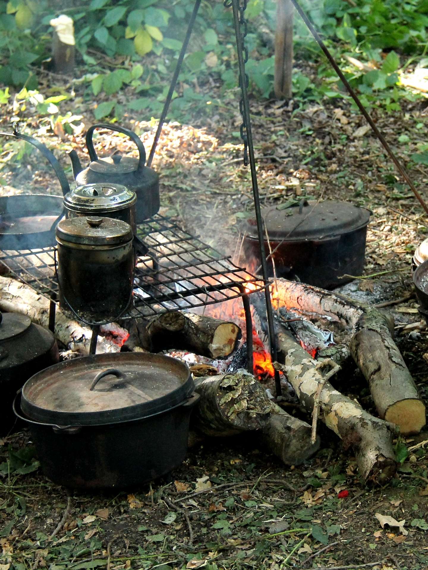 Outdoor Grillstation Camping Grillstation im Wald